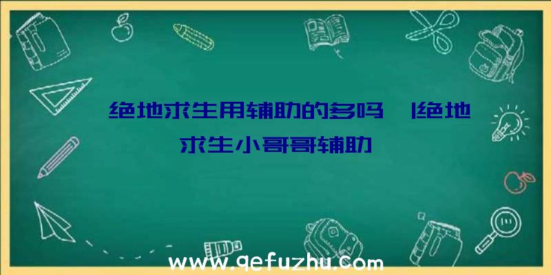 「绝地求生用辅助的多吗」|绝地求生小哥哥辅助